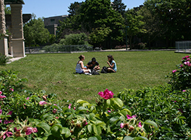 Summer on campus