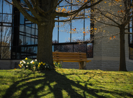 A summery photo of campus
